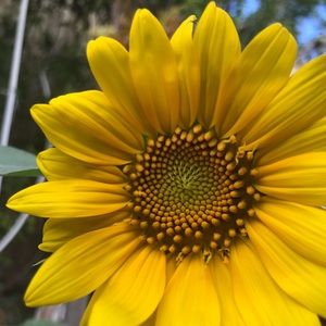 Meet your Posher, Maritza